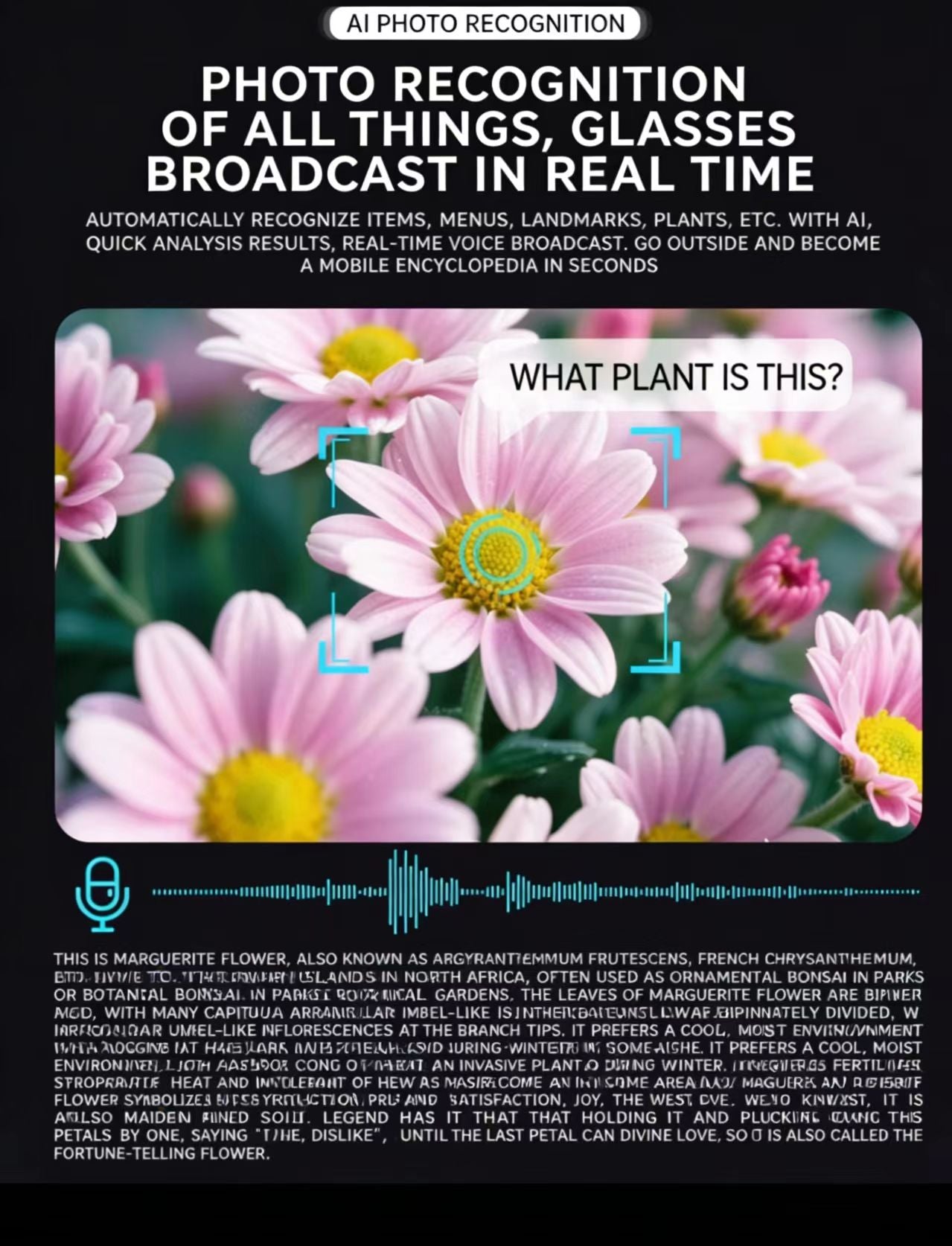 사진/동영상 촬영, 사물 인식 및 실시간 번역 기능을 갖춘 800만 화소 손떨림 방지 카메라가 탑재된 AI 스마트 안경.